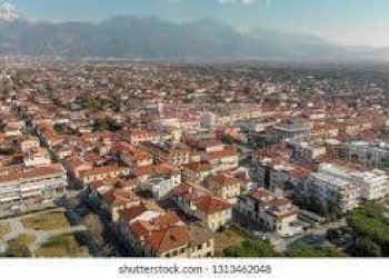 Foto 22 - Appartamento Forte dei Marmi - foto 21