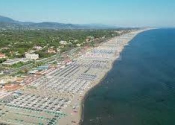 Foto 26 - Appartamento Forte dei Marmi - foto 25