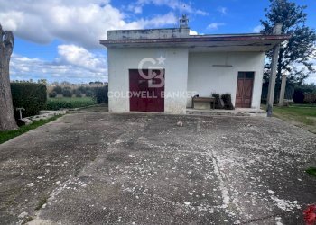 Foto 4 - Villa Contrada Sirgole, Cutrofiano - foto 4