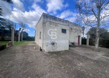 Foto 5 - Villa Contrada Sirgole, Cutrofiano - foto 5