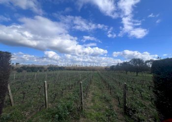 Foto 13 - Villa Contrada Sirgole, Cutrofiano - foto 13