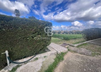 Foto 14 - Villa Contrada Sirgole, Cutrofiano - foto 14