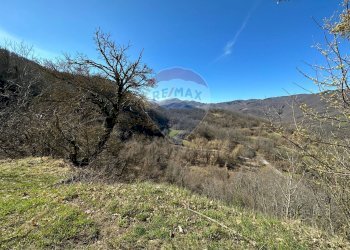 Giardino - Independent house Via Agrimonte
3, Corniglio - photo 19