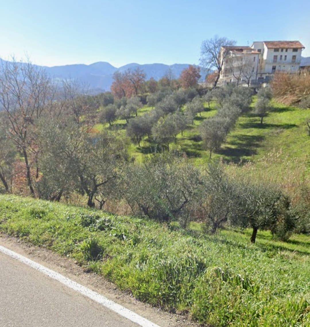 Vista delle montagne - Terreno agricolo Foglianise - foto 1