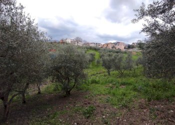 Vista delle montagne - Terreno agricolo Foglianise - foto 4