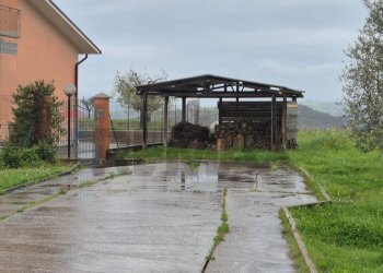 Casa all\'aperto - Villa Montecalvo Irpino - foto 4