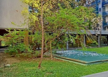 Foto 20 - Bilocale COLUCCIO SALUTATI
 
7, Milano - foto 19