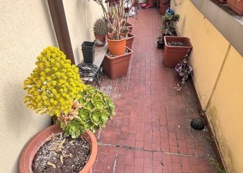 Foto 11 - Trilocale Via Faravelli, Milano - foto 11