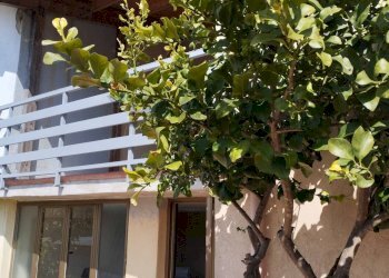 Casa all\'aperto - Casa semi indipendente Roccamonfina - foto 8