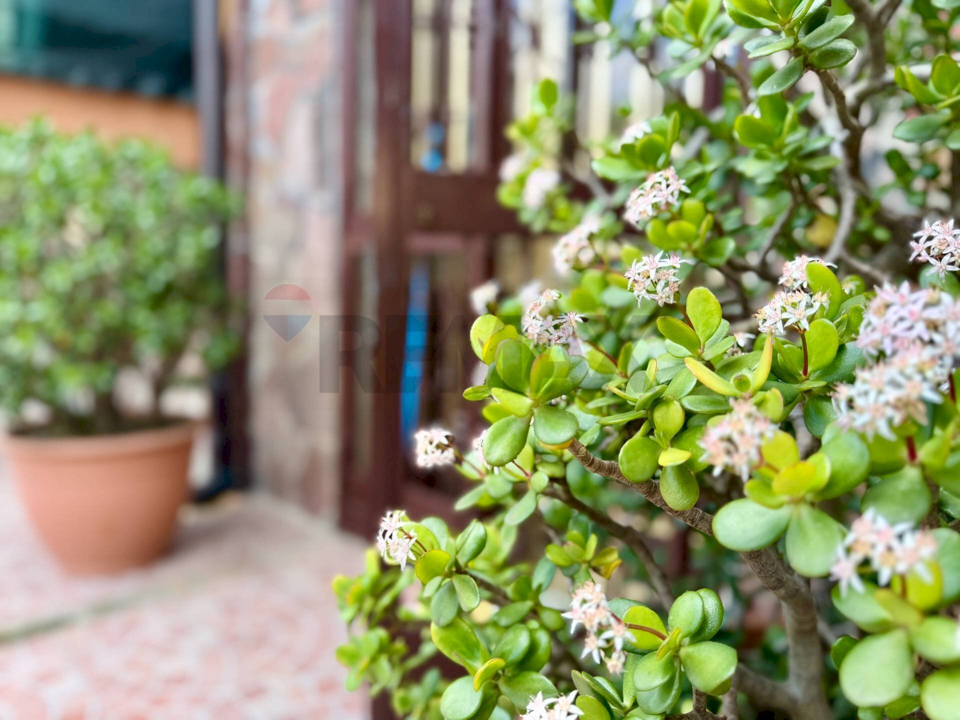 Dettagli - Attico VIA MONSIGNOR S. CAVALLO
 
8, Mugnano di Napoli - foto 3