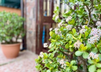 Dettagli - Attico VIA MONSIGNOR S. CAVALLO
 
8, Mugnano di Napoli - foto 3