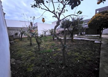 Giardino - Independent house Via Berlinguer
 
snc, Cellino San Marco - photo 23