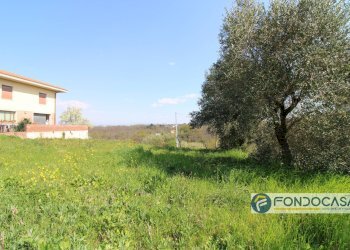 Foto 3 - Casa indipendente Via Del Bruno, Santa Maria a Monte - foto 3