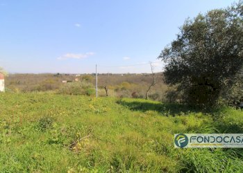 Foto 4 - Casa indipendente Via Del Bruno, Santa Maria a Monte - foto 4