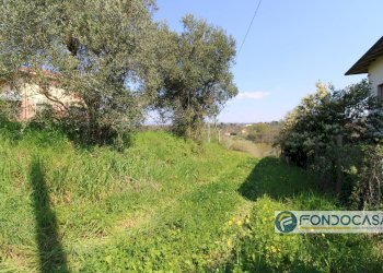 Foto 6 - Casa indipendente Via Del Bruno, Santa Maria a Monte - foto 6