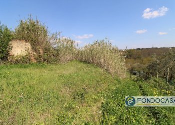 Foto 15 - Casa indipendente Via Del Bruno, Santa Maria a Monte - foto 15