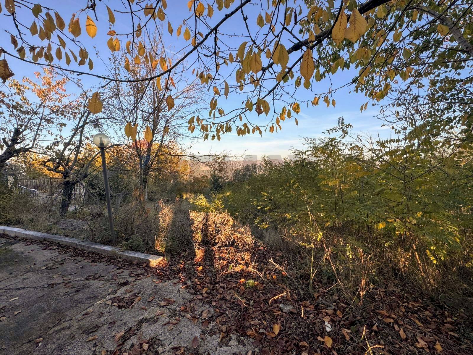 Giardino - Rustico Strada Comunale Vicenne
 
snc, Castellino del Biferno - foto 3