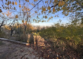 Giardino - Rustico Strada Comunale Vicenne
 
snc, Castellino del Biferno - foto 3