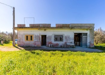 Foto 9 - Villa Contrada Campo Grande
 
14, Specchia - foto 9