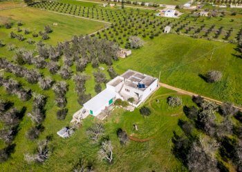 Foto 6 - Villa Contrada Campo Grande
 
14, Specchia - foto 6