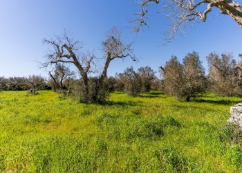 Foto 20 - Villa Contrada Campo Grande
 
14, Specchia - foto 20