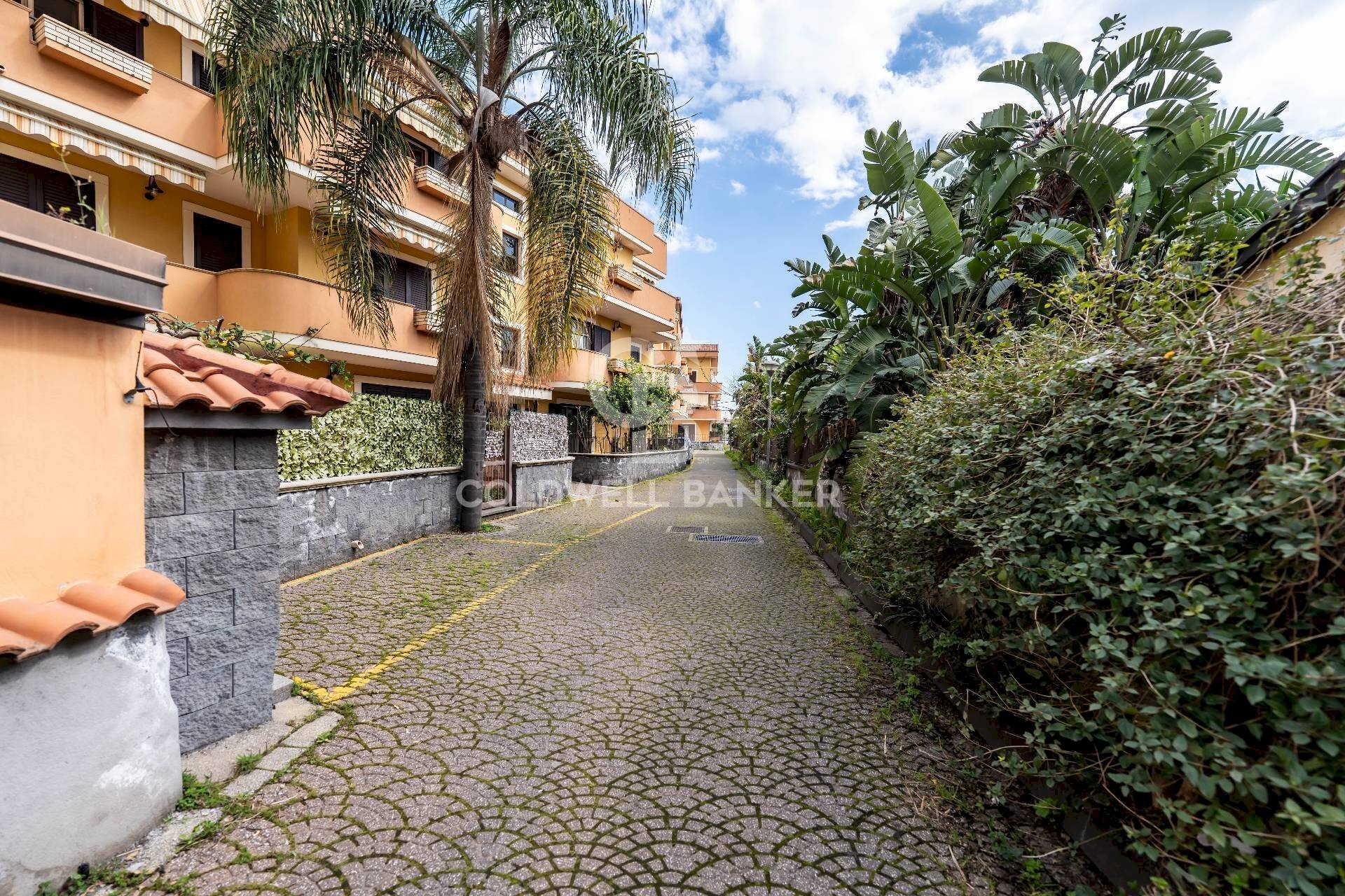 Foto 1 - Attic Via Giovanni Verga 23 Via Ugo La Malfa
 
10-8, Mascali - photo 1