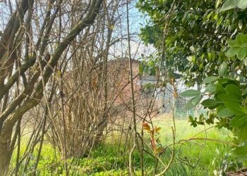 Giardino - Rustic via Langhe, 136, Magliano Alpi - photo 10