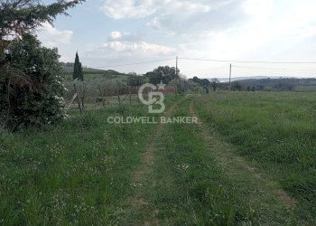 Foto 14 - Villa Via Valle Mola, Sutri - photo 14