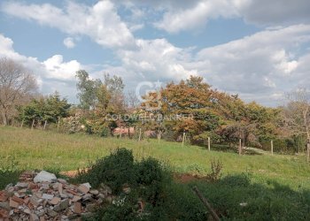 Foto 42 - Villa Via Valle Mola, Sutri - photo 42