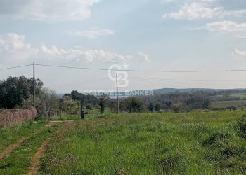 Foto 47 - Villa Via Valle Mola, Sutri - photo 47