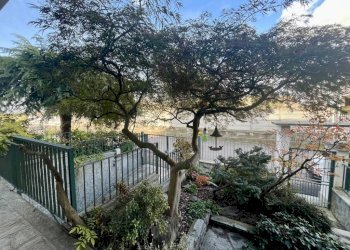 Giardino - Villa via Don Giulio Ardizzone, 6, Carmagnola - foto 16