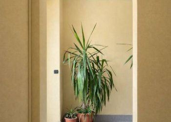 Interno palazzo - Trilocale via Temperanza, 5, Milano - foto 5