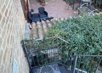 Foto 35 - Casa indipendente via Terravecchia
 
15, Tortoreto - foto 35