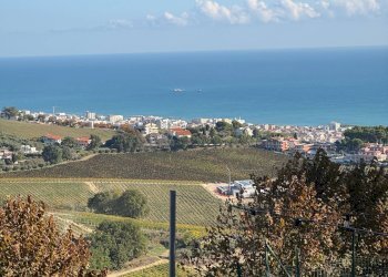 Foto 39 - Casa indipendente via Terravecchia
 
15, Tortoreto - foto 39