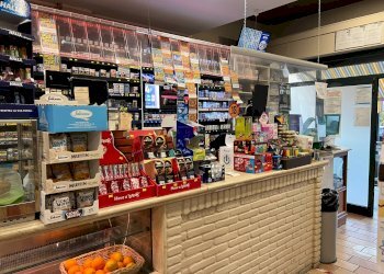 Foto 19 - Attività Commerciale VIA ROMA
472/474, Martinsicuro - foto 19