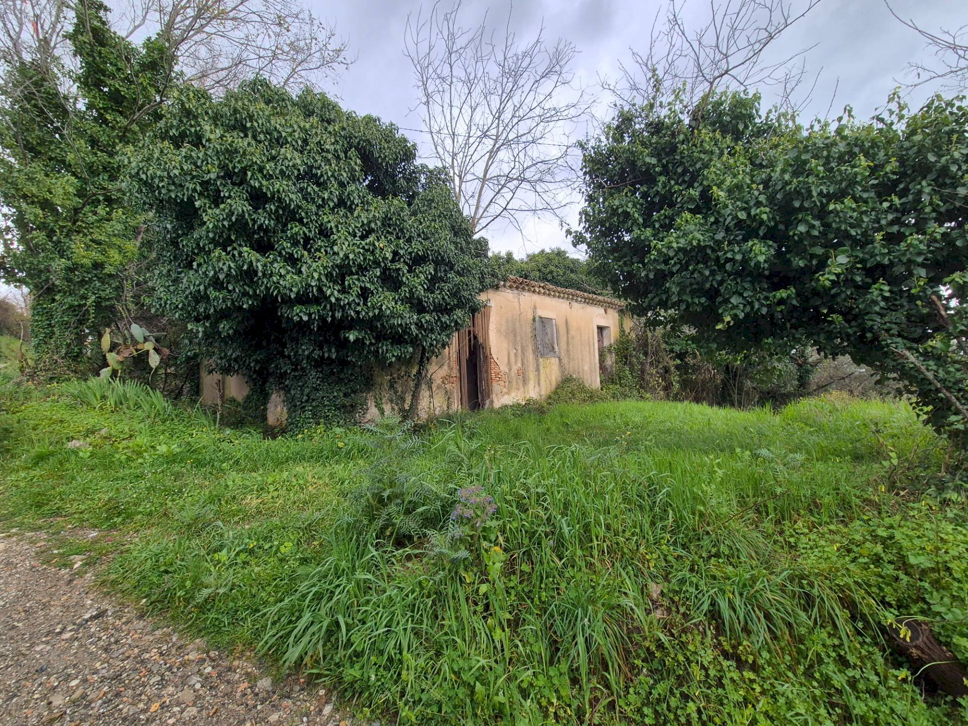 Foto 1 - Magazzino CONTRADA CERASIA, Borgia - foto 1