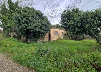 Foto 1 - Magazzino CONTRADA CERASIA, Borgia - foto 1