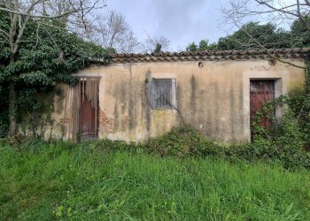 Foto 2 - Magazzino CONTRADA CERASIA, Borgia - foto 2