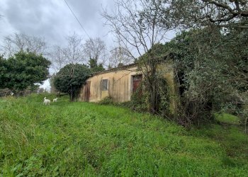 Foto 5 - Magazzino CONTRADA CERASIA, Borgia - foto 5