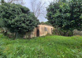 Foto 6 - Magazzino CONTRADA CERASIA, Borgia - foto 6