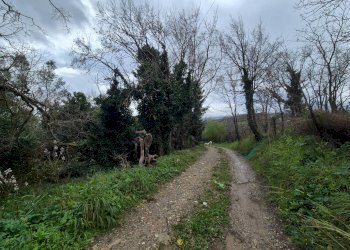 Foto 8 - Magazzino CONTRADA CERASIA, Borgia - foto 8