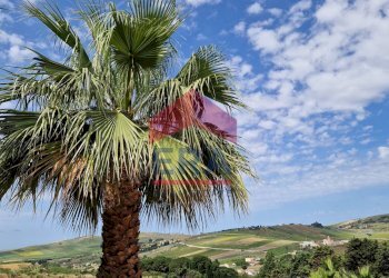 Viste - Appartamento Via Assieni
 
164, Custonaci - foto 14