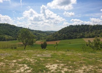 Terreno - Villa via Vignali, 13, Brozolo - foto 5