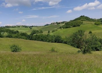 Terreno - Villa via Vignali, 13, Brozolo - foto 6
