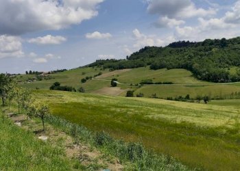 Terreno - Villa via Vignali, 13, Brozolo - foto 7