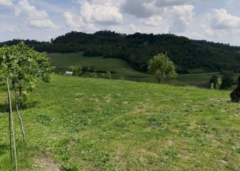 Terreno - Villa via Vignali, 13, Brozolo - foto 8