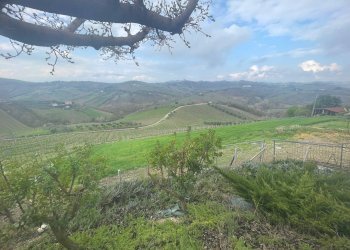 Foto 14 - Independent house Contrada Collelungo, Monsampolo del Tronto - photo 14