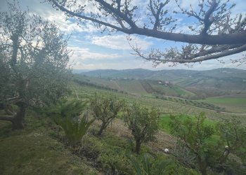 Foto 15 - Independent house Contrada Collelungo, Monsampolo del Tronto - photo 15