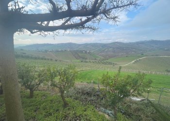 Foto 29 - Independent house Contrada Collelungo, Monsampolo del Tronto - photo 29