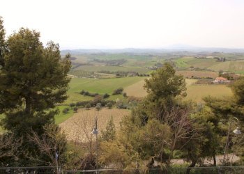 Foto 32 - Casa indipendente Via Borgo da monte
14, Monteprandone - foto 32